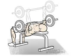 HOW TO GET A BIG CHEST: BEST CHEST WORKOUT #1 DUMBBELL BENCH PRESS