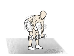 Best Mass Exercises 7 Bent over Barbell Rows